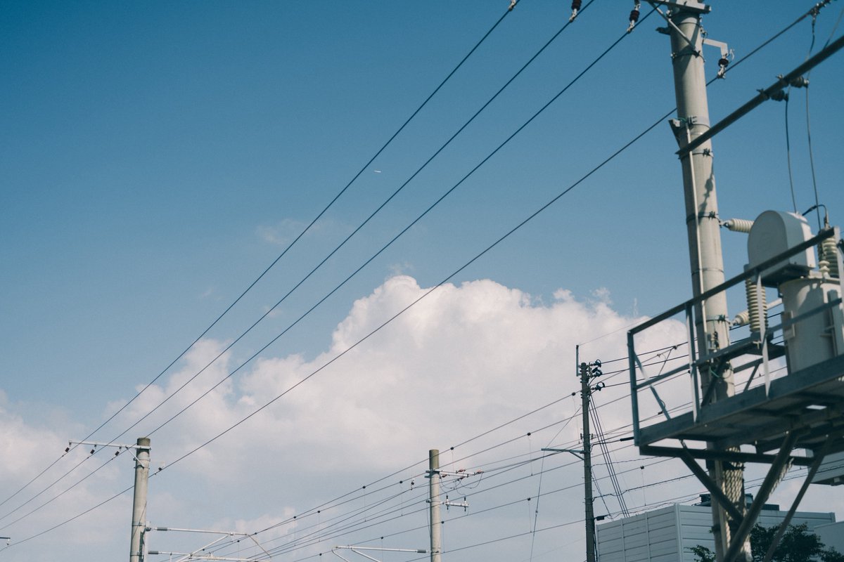 UMA｜悠真 (@uma_jpeg) on Twitter photo 