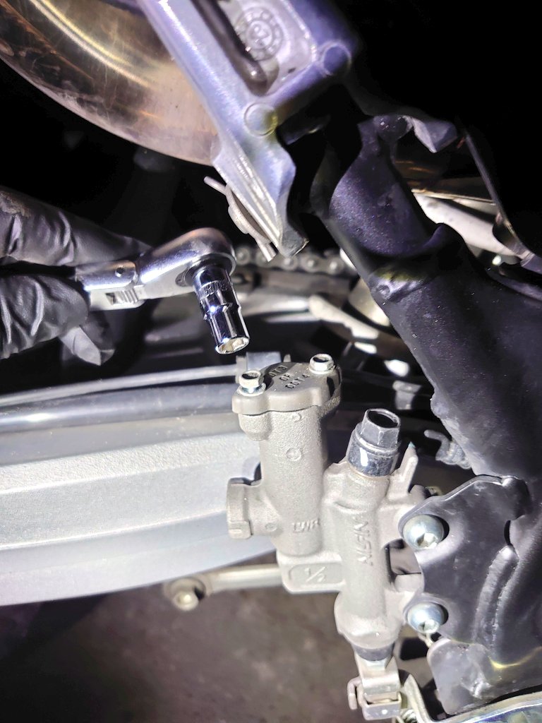 スレンテン→プロフ確認願います。 ホリー@(｀・ω・´)ｷﾘｯ on X