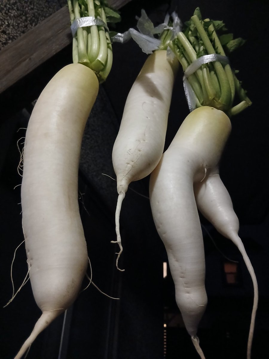 パリッとジュワッと on X