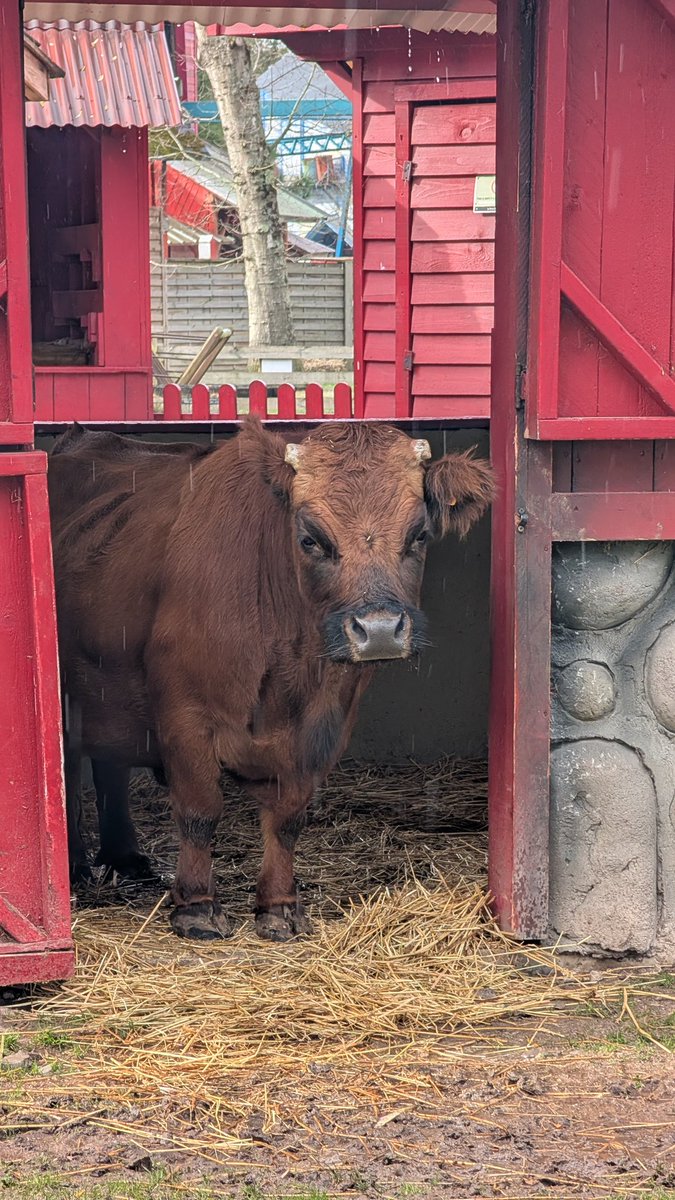 Ben 🎢🚂 tweet media