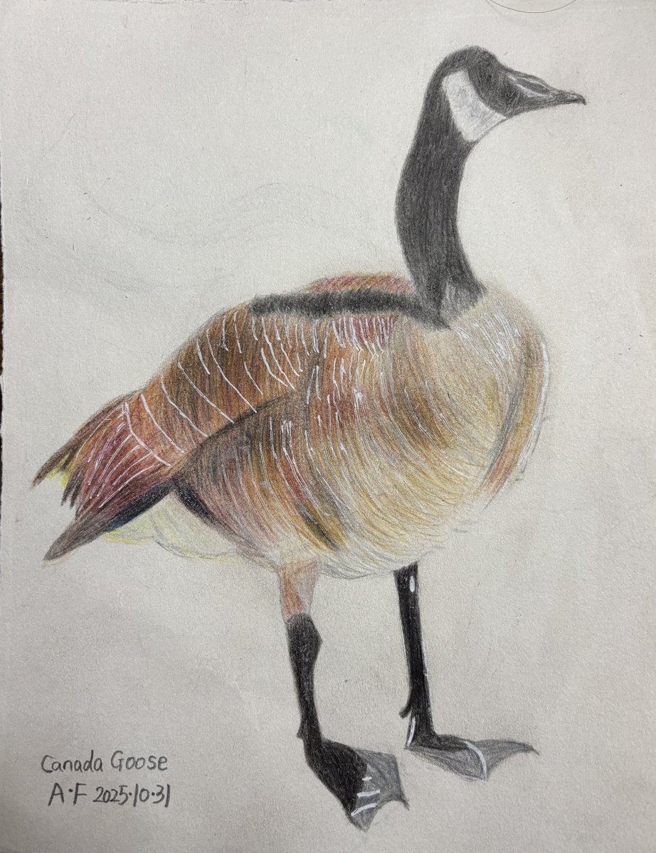 我也是吃上了细糠