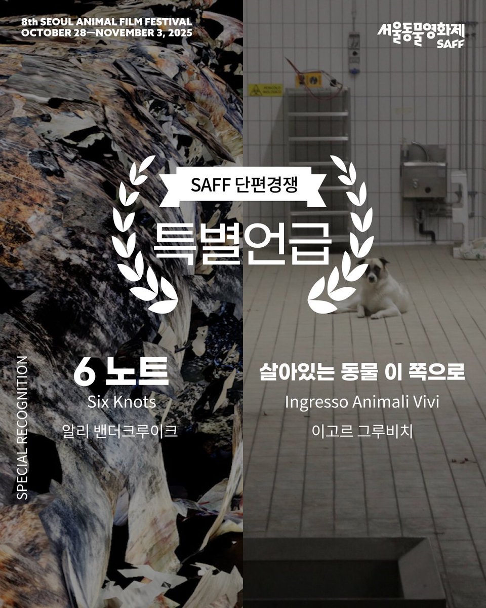 saff_kr's tweet photo. 🏆 제8회 서울동물영화제 SAFF 단편경쟁 특별언급 <6 노트>, <살아있는 동물 이 쪽으로>
⠀
고래에 대해 인간이 접근해왔던 문명과 기술을 비판적으로, 성실하고 지적인 방식으로 보여준 영화 <6 노트>와 인류가 만든 가장 끔찍한 시설 중 하나인 도살장에서 벌어지는 일을 완전히 새로운 방식으로 감각하도록 하는 영화 <살아있는 동물 이 쪽으로>가 특별언급 되었습니다.

🎬 6 노트 Six Knots
알리 밴더크루이크 | 캐나다 | 2024 | 30분
⠀
고래는 인간과 동물 사이의 거리와 자연 세계의 신비를 상징해온 존재로, 단절과 매혹, 착취의 현장이기도 하다. <6 노트>는 식민화, 산업화, 과학이 얽혀 있는 그 복잡한 관계를 탐구한다.
⠀
🎬 살아있는 동물 이 쪽으로 Ingresso Animali Vivi
이고르 그루비치 | 크로아티아 | 2023 | 15분
⠀
식품·육류 산업을 위해 동유럽으로부터 운송된 동물들이 이탈리아 북동부 국경 도시들로 보내진다. 죽음으로 가는 컨베이어 벨트 같은 공간에서 단 한 마리의 동물이 살아서 돌아다닌다.

🎖️ 제8회 서울동물영화제 SAFF 단편경쟁 특별언급된 작품 <6 노트>와 <살아있는 동물 이 쪽으로>는 온라인 상영관 퍼플레이에서 관람하실 수 있습니다.saff.purplay.co.kr