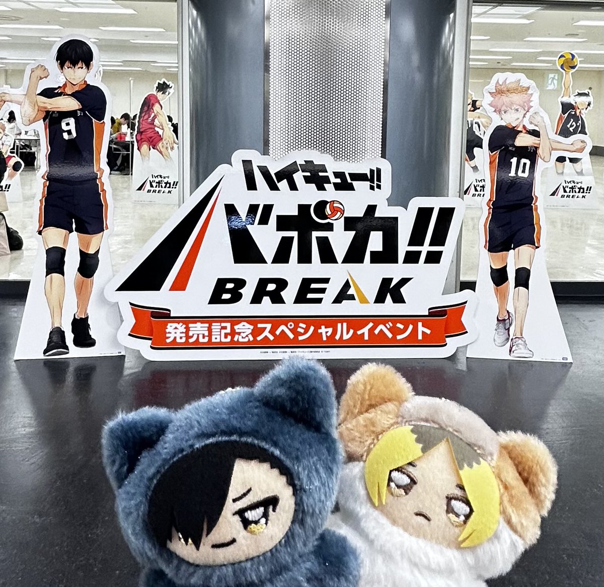 群青🐈‍⬛🐈 (@gn1526910) / Posts / X