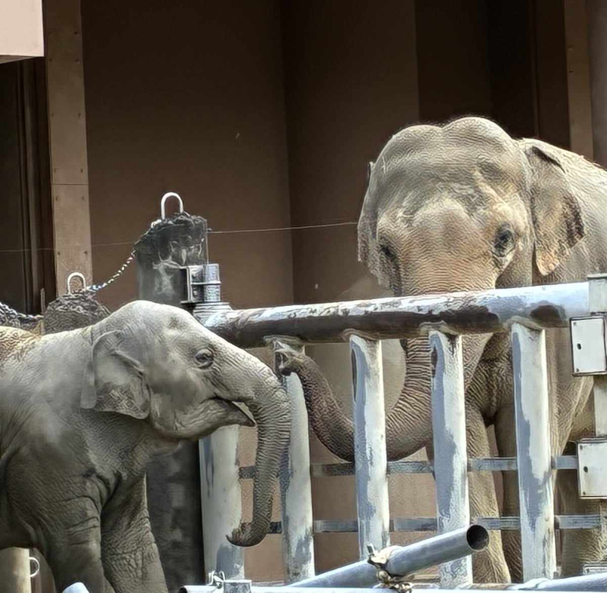 きょうちゃん on X