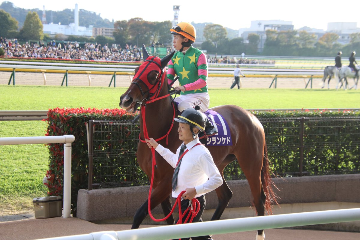 エイシンフラッシュ 引退記念フラッグと写真　その他色々 あ～る on X