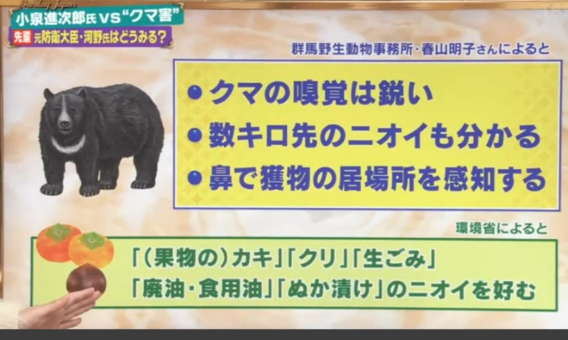 charisma3d's tweet photo. ・クマの嗅覚は鋭い
果物のカキ、���リ、（略
ってフリップを読み上げている女性アナの
「クリ」の発音が、明らかに、
ク↑リ↓
だったのが、どうしても気になってしまいます🤔

そういうのが同じ視点の女性とは、気が合うと思います

(；ﾟДﾟ) そ、そうだね https://t.co/m3P3fOIWg6