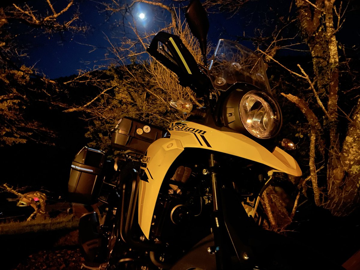 ちむだんページ The mysterious popularity of Platinum Fountain Pen's 