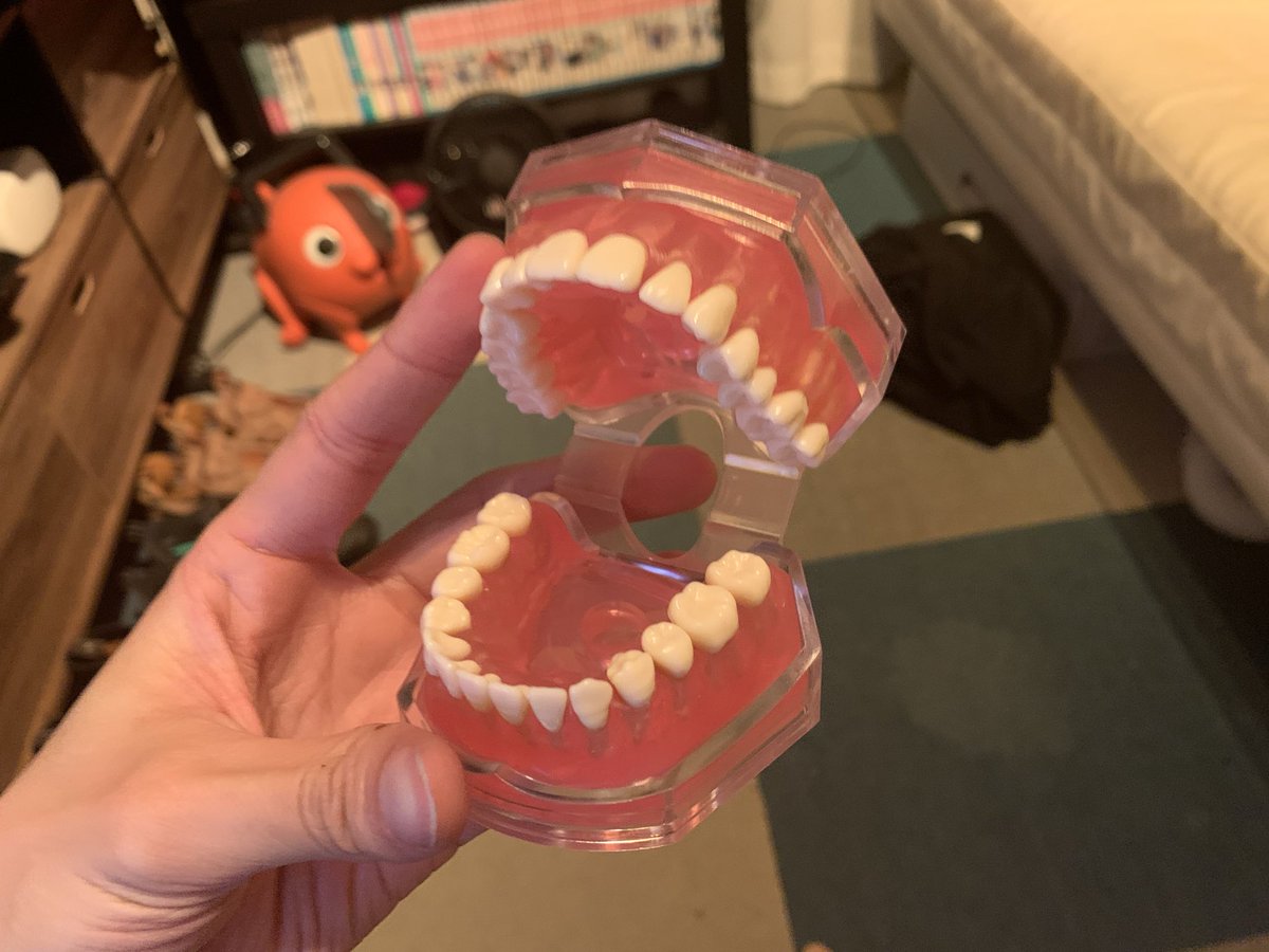 参考になるか分かんないけど歯を買った