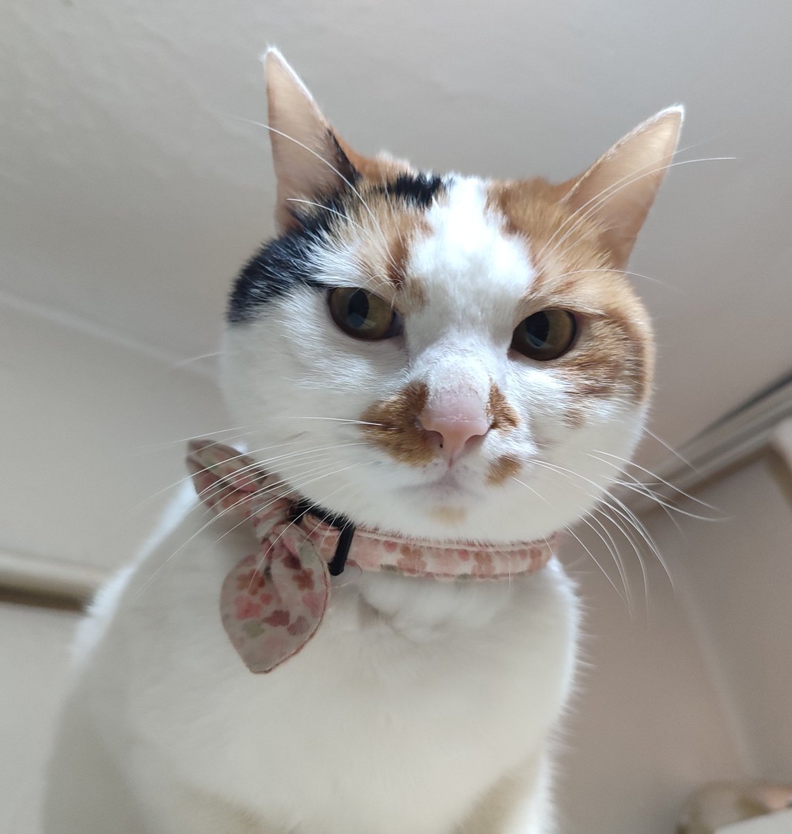 Dinliorus ve yargılıorus