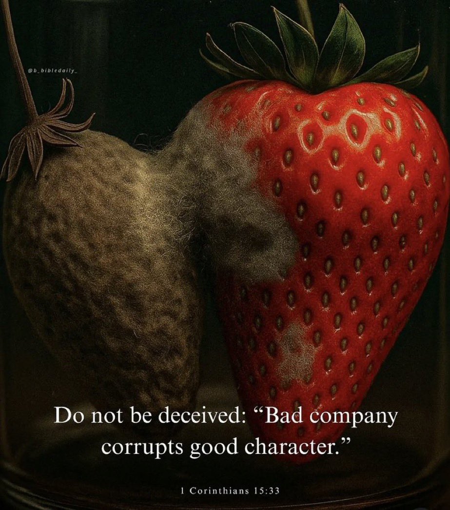 لا تنخدع: " رفقة السوء تفسد الشخصية الصالحة".