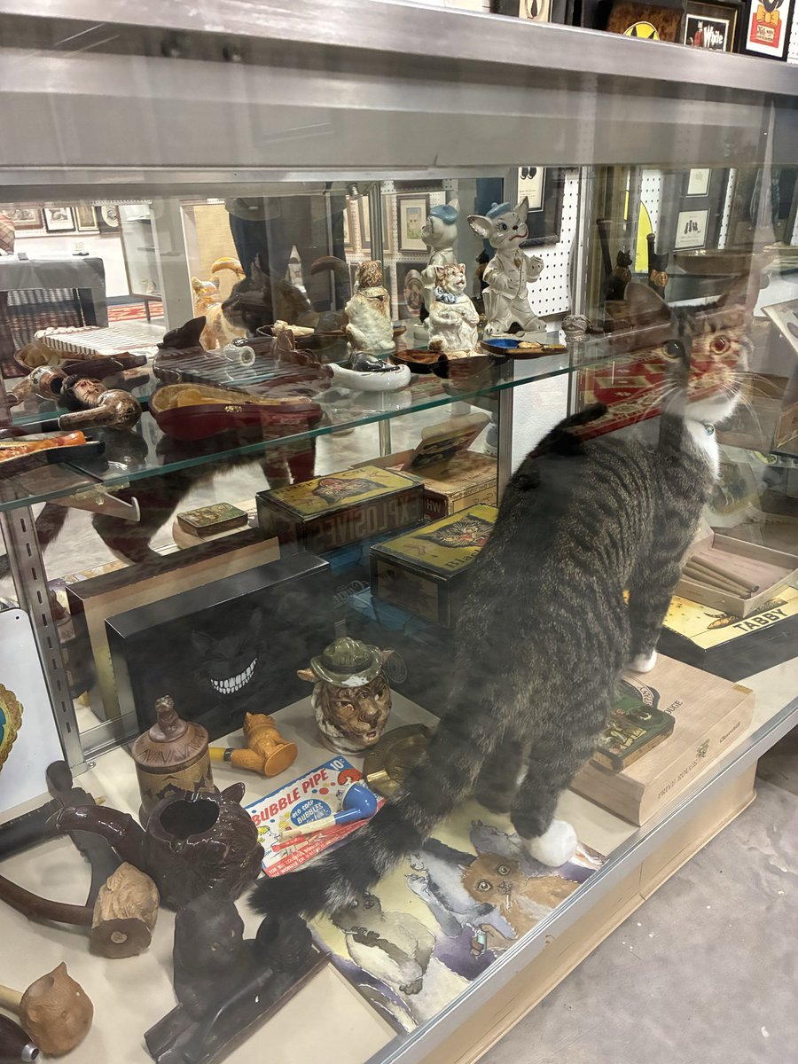 wnccatmuseum's tweet photo. We have one more day in our A Feline’s Day Of The Dead weekend with sandwhich’s & treats provided by The High Test Deli & Sweet Shop.  Come join us today, Sunday, November 2 for stories & remembering our furry family members at The American Museum of The House Cat.  We open at noon and can’t wait to see pictures of your #rainbowbridge  #familymemories.

#thankyou to our friends at Roll Up Herbal Bar for providing day one of #mocktails and for all your help with our after hours #privateparty event on Saturday, November 1, 2025.
#dayofthedead #DiaDeMuertos #animallover #catlovers #petloss #petlovers #doglover #wnc #828isgreat #sylvanc #lovethelocals #weekendvibes #catman2theshelterthatcares #privateevents  #visitsmokies #visitnc