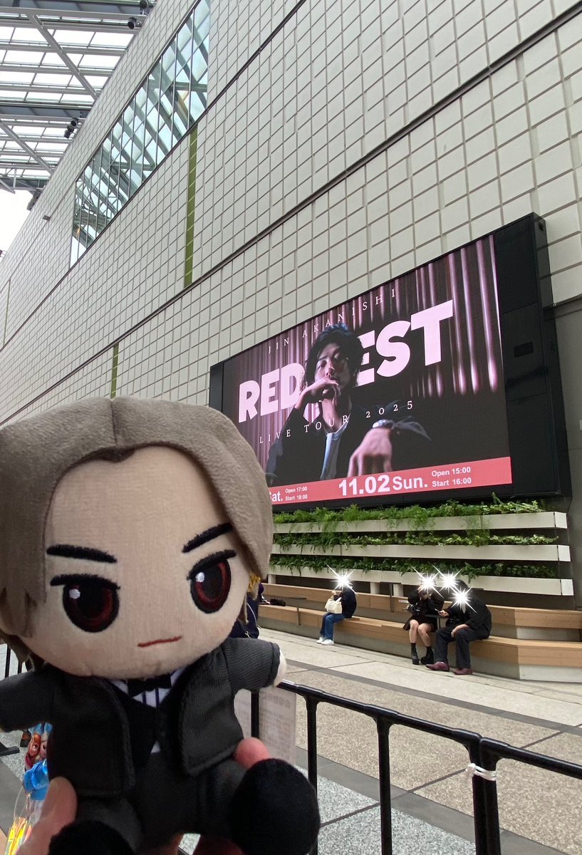 鈴猫 🌸 Daydream 🌼🐈 on X