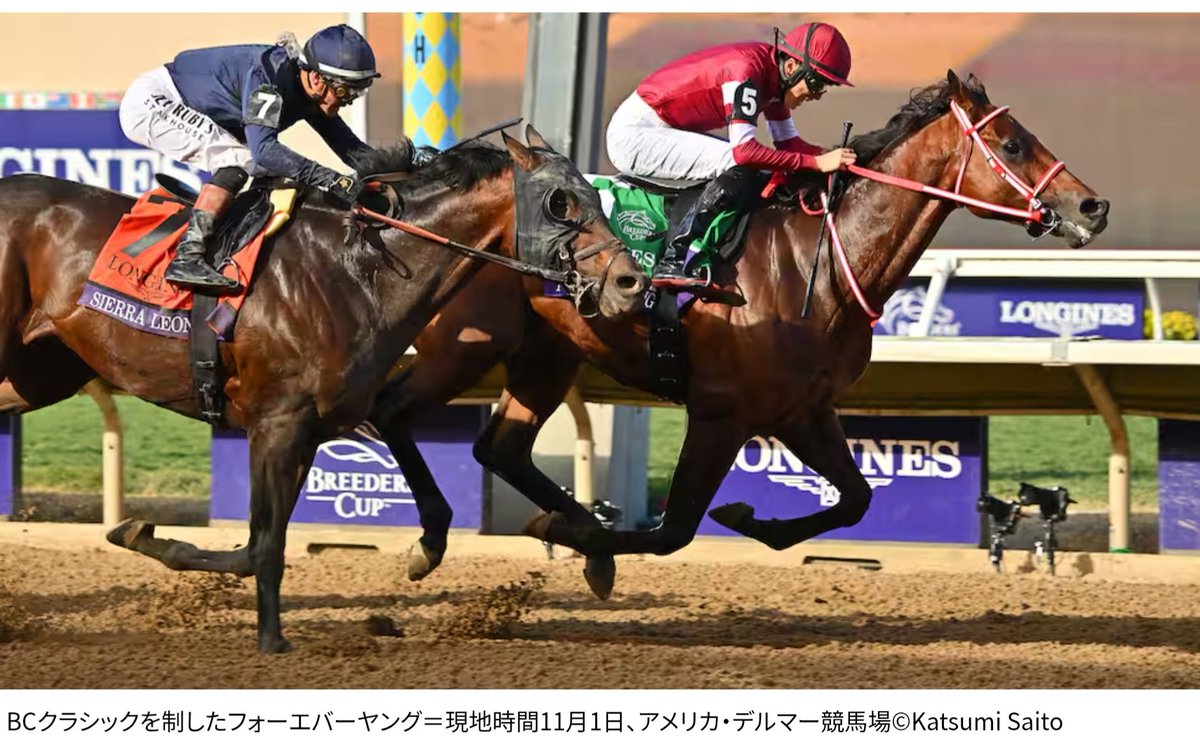 2024 BREEDERS' CUP まとめセット 2024 BREEDERS' CUP まとめセット