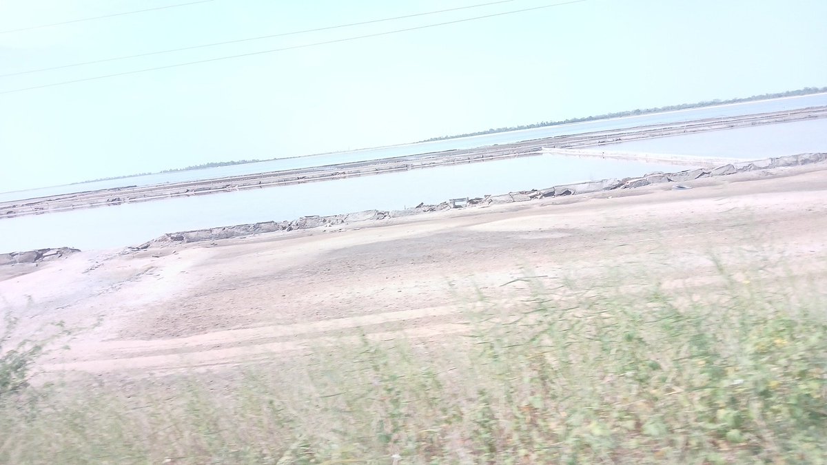 Marone N.Joe tweet media