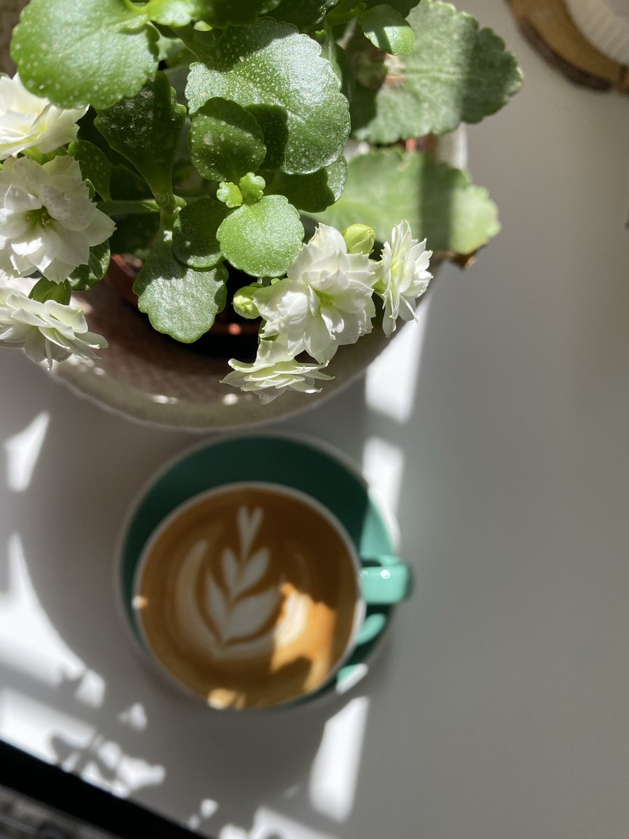 كم شمس غابت وانا اشوفك …
          شمس الضحى اللي تباريني🍃🤍