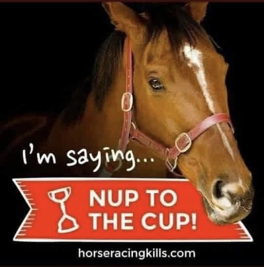 Carmen Vella tweet media