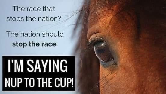 Carmen Vella tweet media