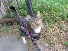 Happy Birthday at The Bridge, dearest forever love ❤️

Christopher 11/02/2007 🌈🌹