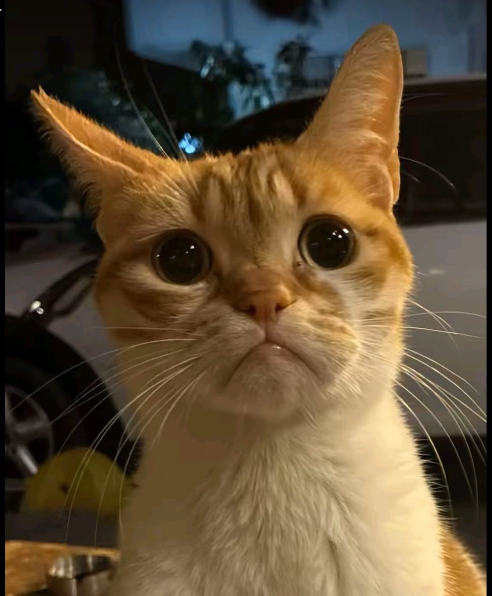 Ne farkınız var aynısınız işte🥺 #BurakYörük