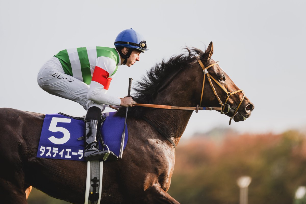 Dレーン D・レーン - Search / X