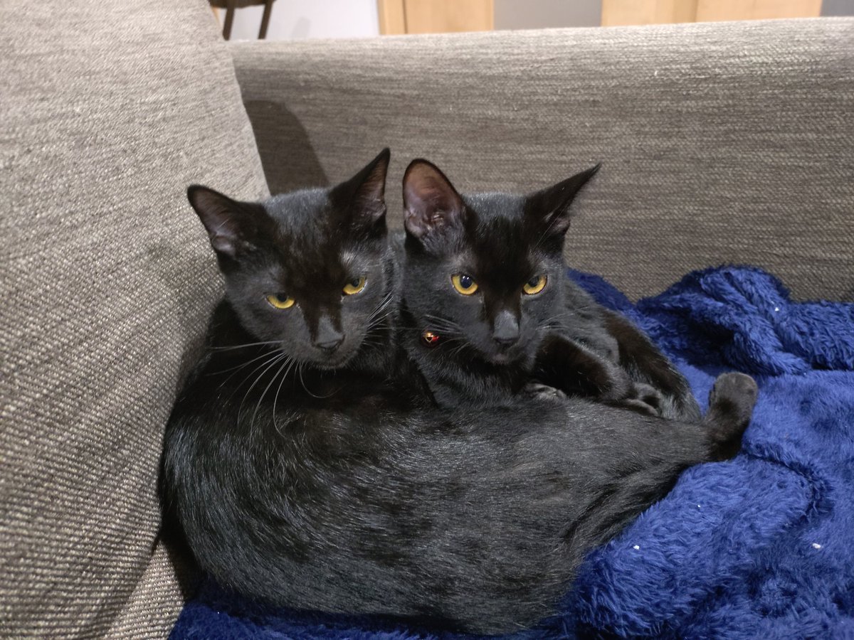 ゆずページ/ご確認した上ご購入お願いします(❁´◡`❁) ゆずページ/ご確認した上ご購入お願いします(❁´◡`❁) ユズ