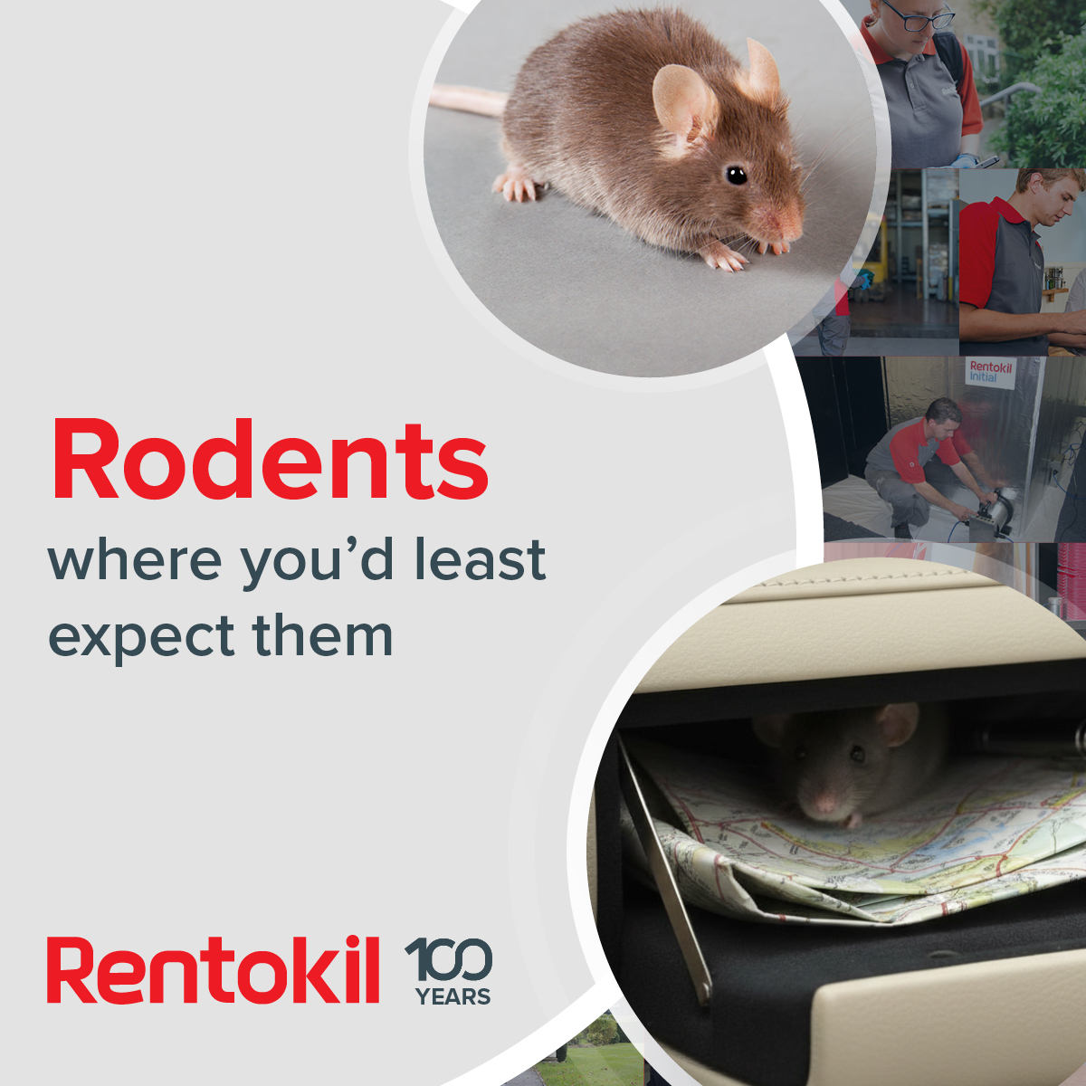 What does a 200-rodent infestation look like? What are the stakes of finding a single mouse in a pharmaceutical production plant? To mark 100 years of service, our technicians are sharing real stories from the front lines. Get a look at our blog: spklr.io/6016BzqSA