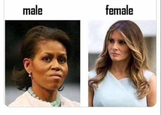 conspiracybot tweet media