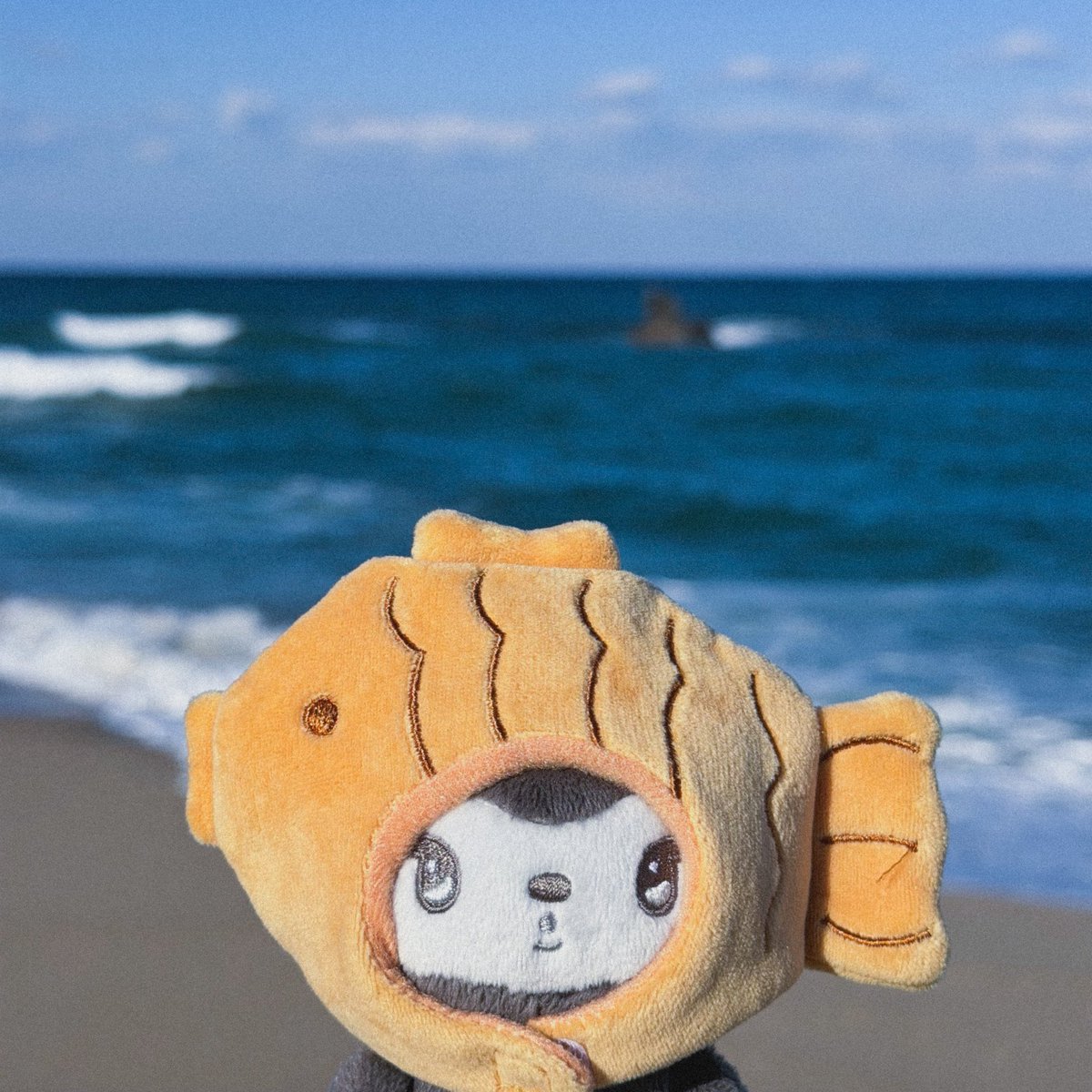 안목해변에나타난
수상한붕어빵돌숭깅