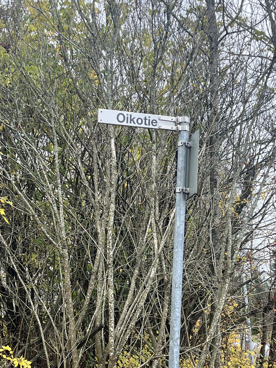 Neiti B. tweet media