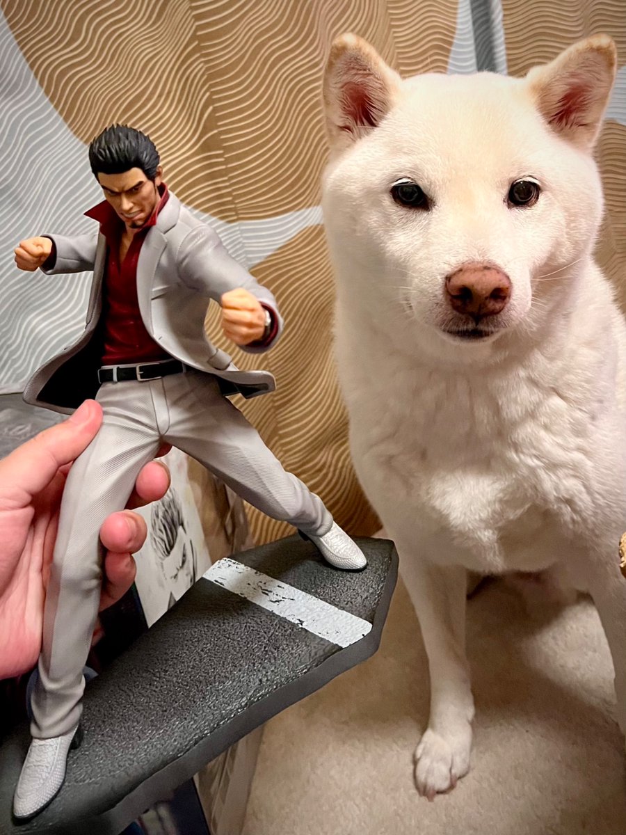 銀次郎とのサイズ比💁

個人的に1/6スケールのリアルフィギュアってものに原型師を志した頃の憧れが詰まっておりまして👀
(デジタル造形になって忘れがち)

何より長年敬愛してやまない桐生一馬を作れたことが原型師としてめちゃくちゃ嬉しく幸せであります

数々のご縁に感謝✨🙏
#龍が如く #桐生一馬