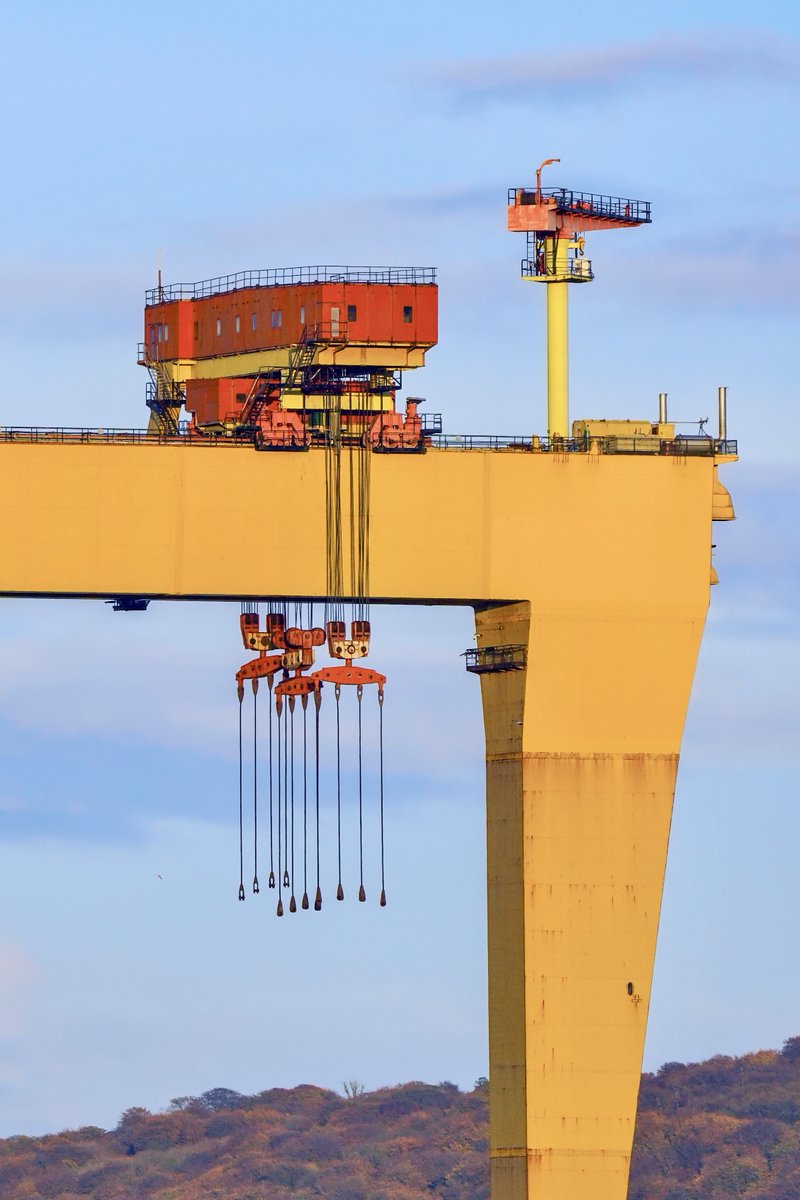 Tartan Eyes tweet media