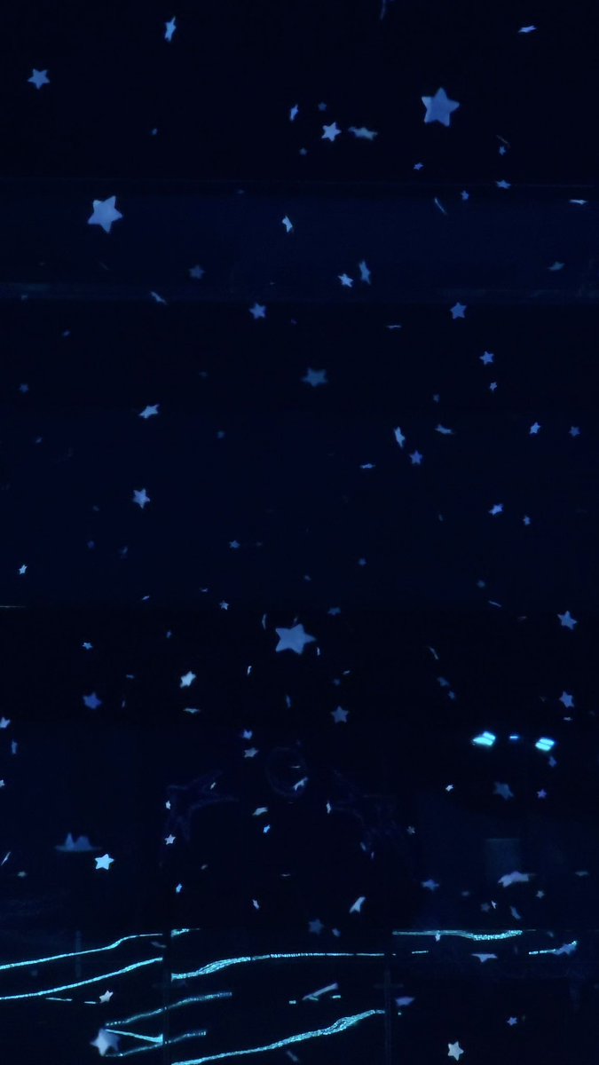 위시와 리본이의 만남... 즐겁다♡..