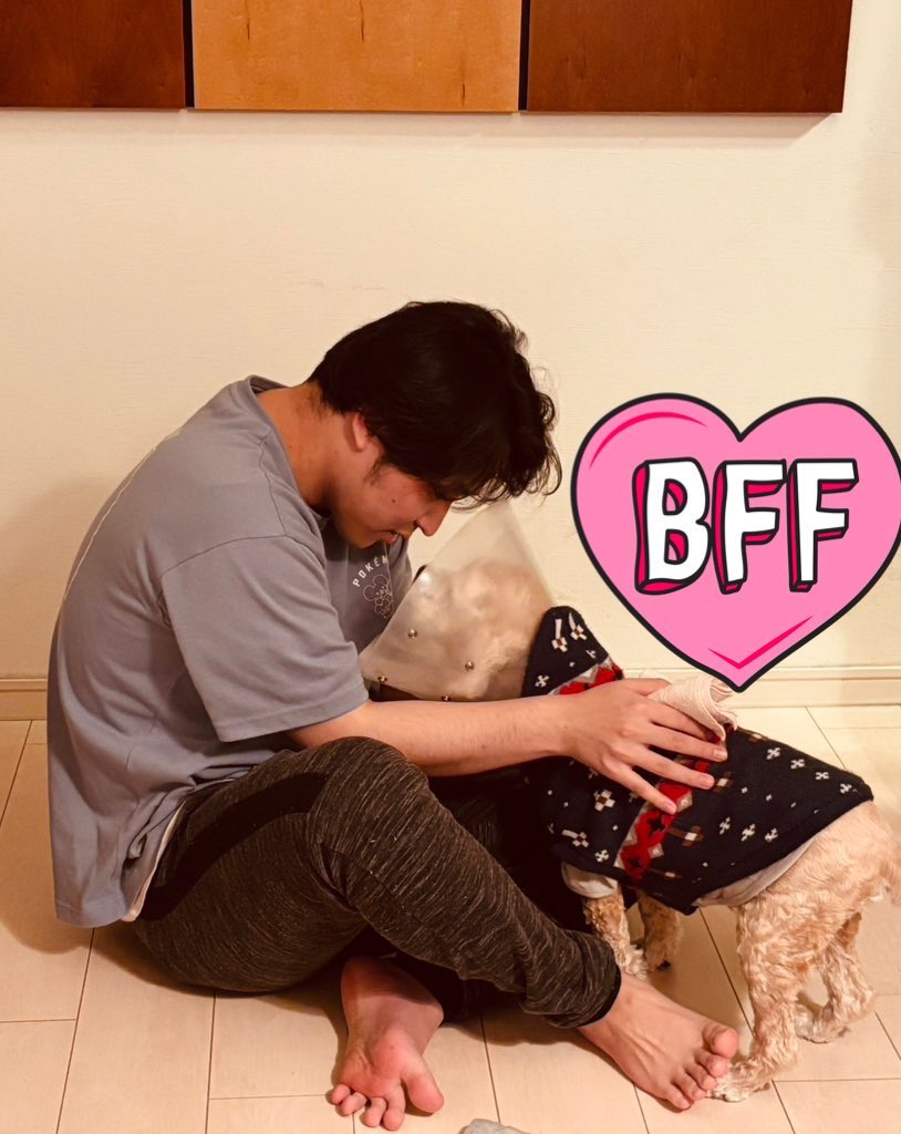 まめ(飼ってる🐕)の15歳の誕生日お祝いしてきた！ 最近体調悪くて心配