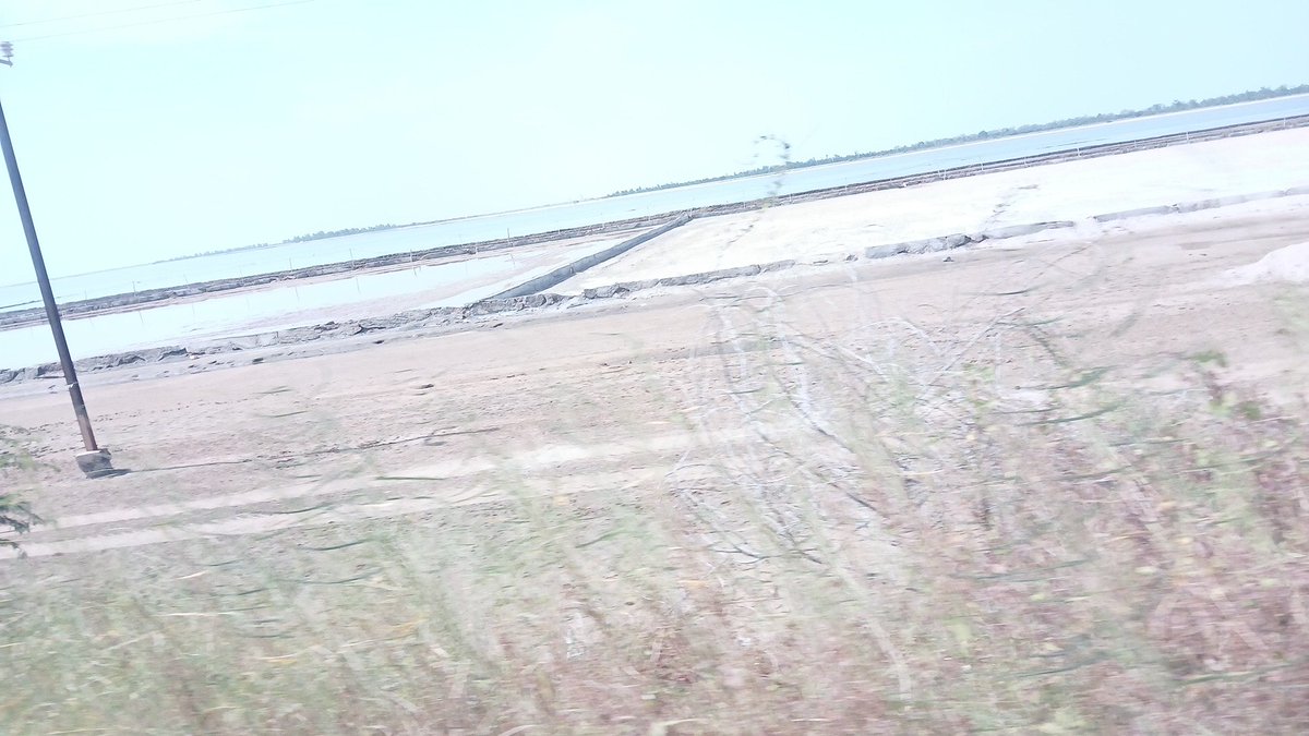 Marone N.Joe tweet media