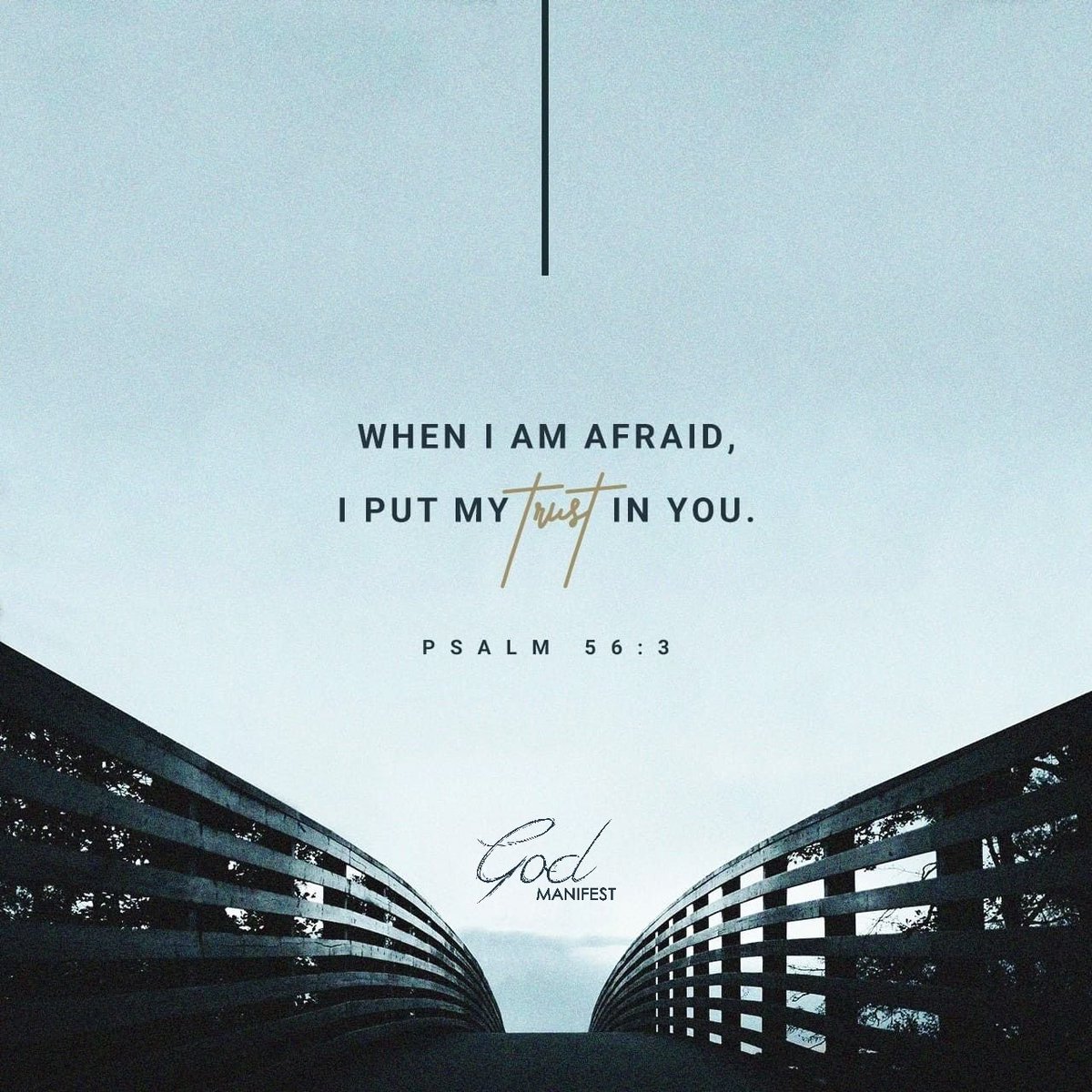 thegodmanifest's tweet image. Psalms 56:3 NASB
When I am afraid, I will put my trust in You.
#bible #jesus #scripture #faith #trust #jesuslovesyou #jesuschrist #JesusSaves #JesusIsLord #jesusisking #ChristisKing #fear #fearisaliar