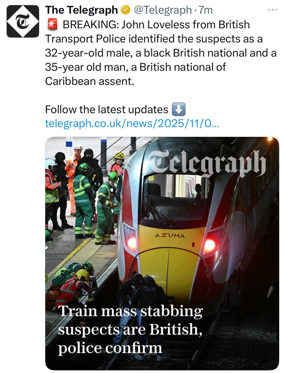 Francesca Totolo tweet media