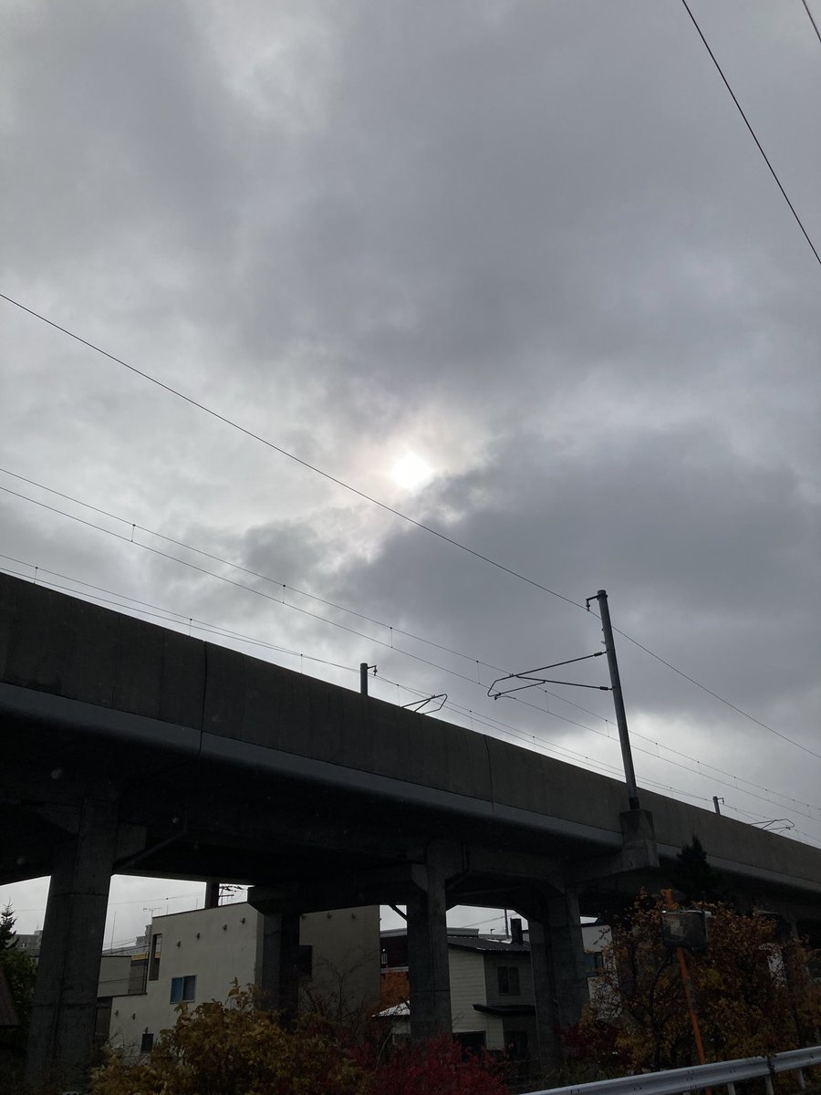 Good morning ☀️🕊️💕Afternoon 🍊
Evening 🍇 night ✨🦉