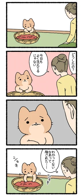 ねこようかい あずきあらい その5 