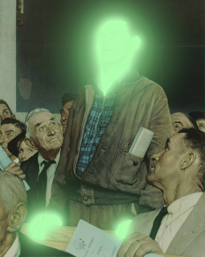 federal turtle tweet media