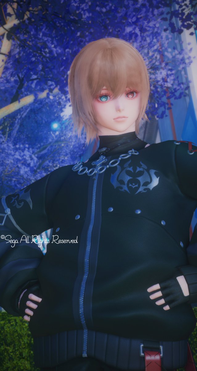 #PSO2NGS_SS︎ 
結構久しぶりに🐥