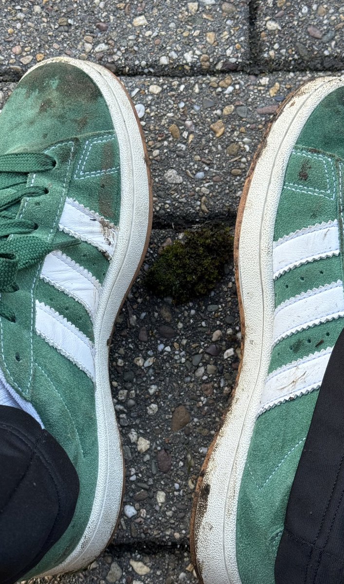 Meint ihr die bekommt man wieder sauber