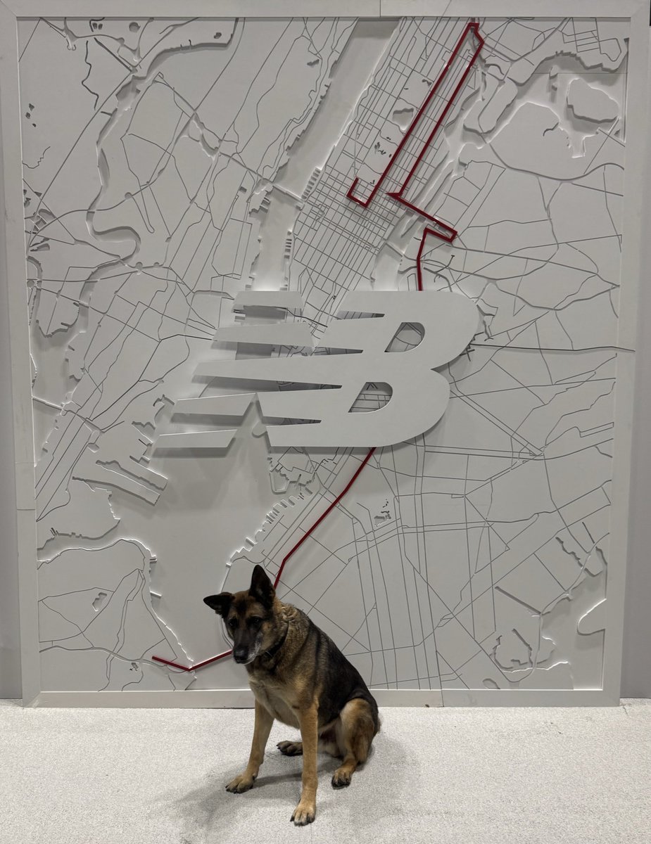 Over 55,000 runners but only one K9 Louie🥰Congratulations to all those running the #tcsnycmarathon!  Run this city!!! Let’s gooooo!!!! 🥇 🥈 🥉 
#lovek9louie #nycmarathon

Anyone running???