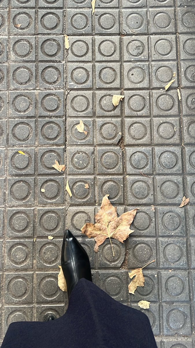 november🍁