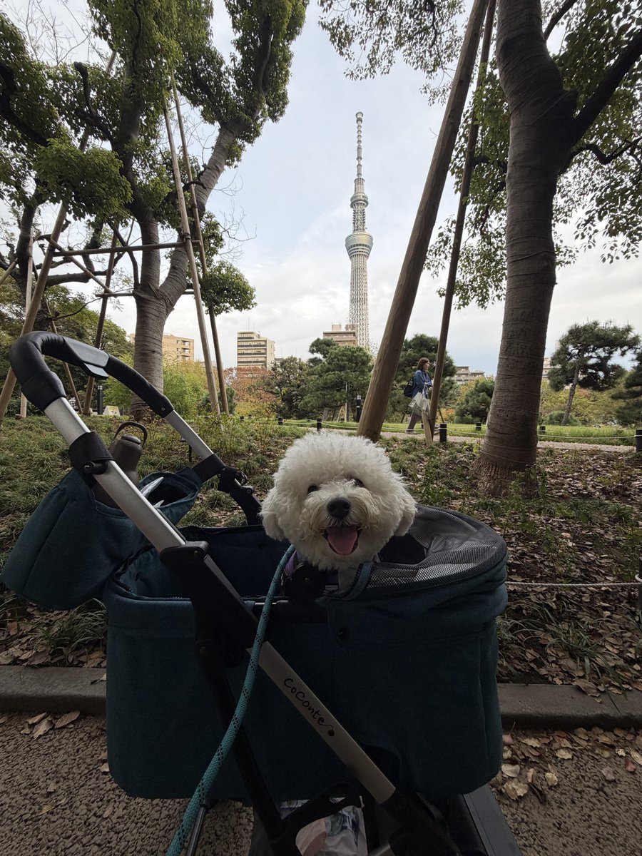 𝙈𝙄𝙆𝙄 (@m_08sfc) / Posts / X