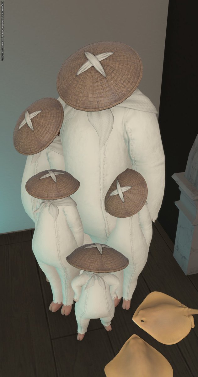 오늘 광인님 만추에 버섯핌 ㅋㅋㅋㅋㅋㅋㅋㅋㅋㅋㅋㅋㅋㅋㅋㅋㅋㅋㅋㅋㅋㅋㅋㅋㅋㅋㅋㅋㅋㅋㅋㅋㅋㅋㅋㅋㅋㅋㅋㅋㅋㅋㅋㅋㅋㅋㅋㅋㅋㅋㅋㅋㅋ