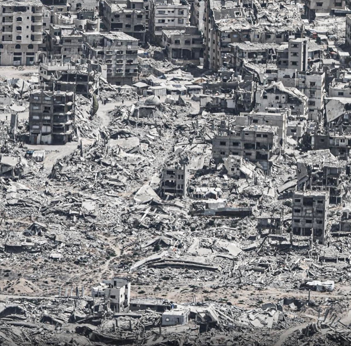 Nermeen from Gaza 𓂆🇵🇸🍉 tweet media