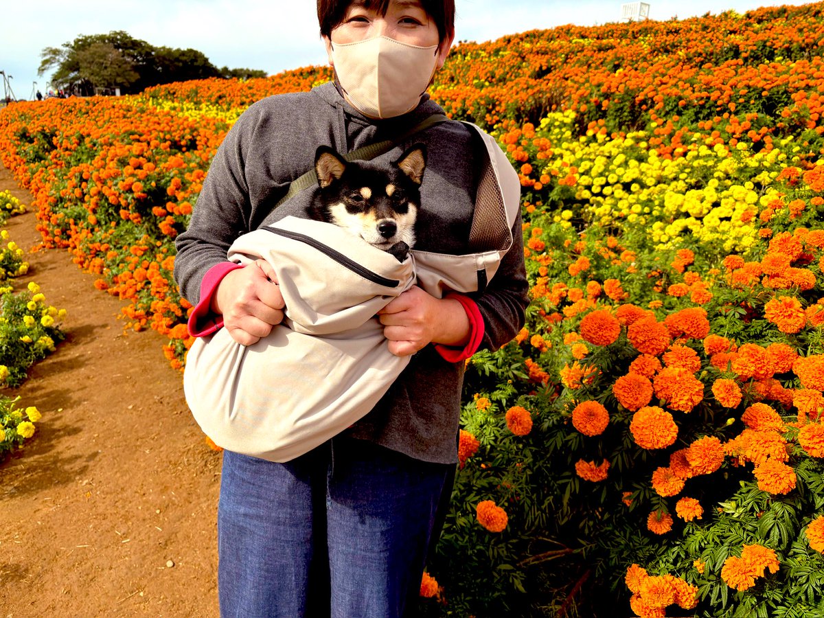 にゃんまる = にゃん五郎🍶 on X