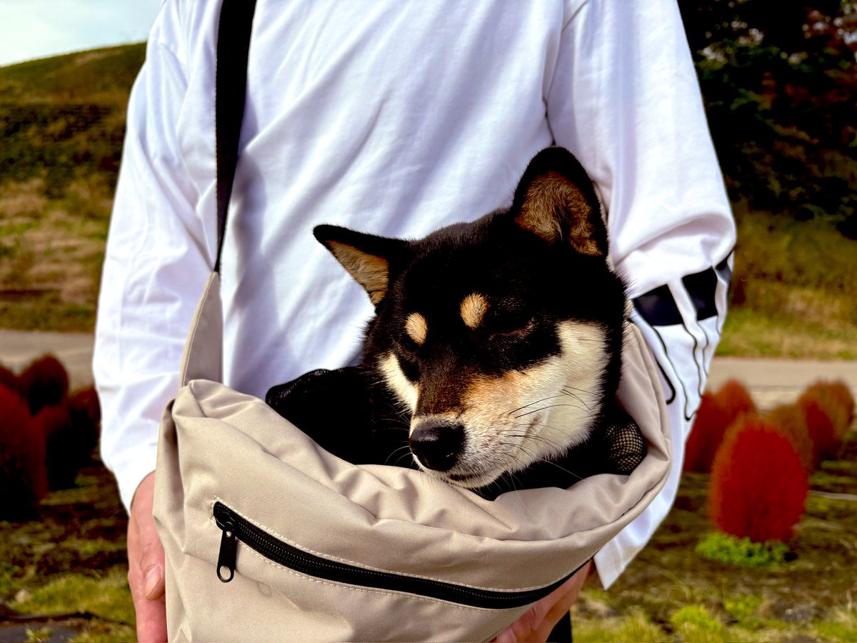 にゃんまる = にゃん五郎🍶 on X