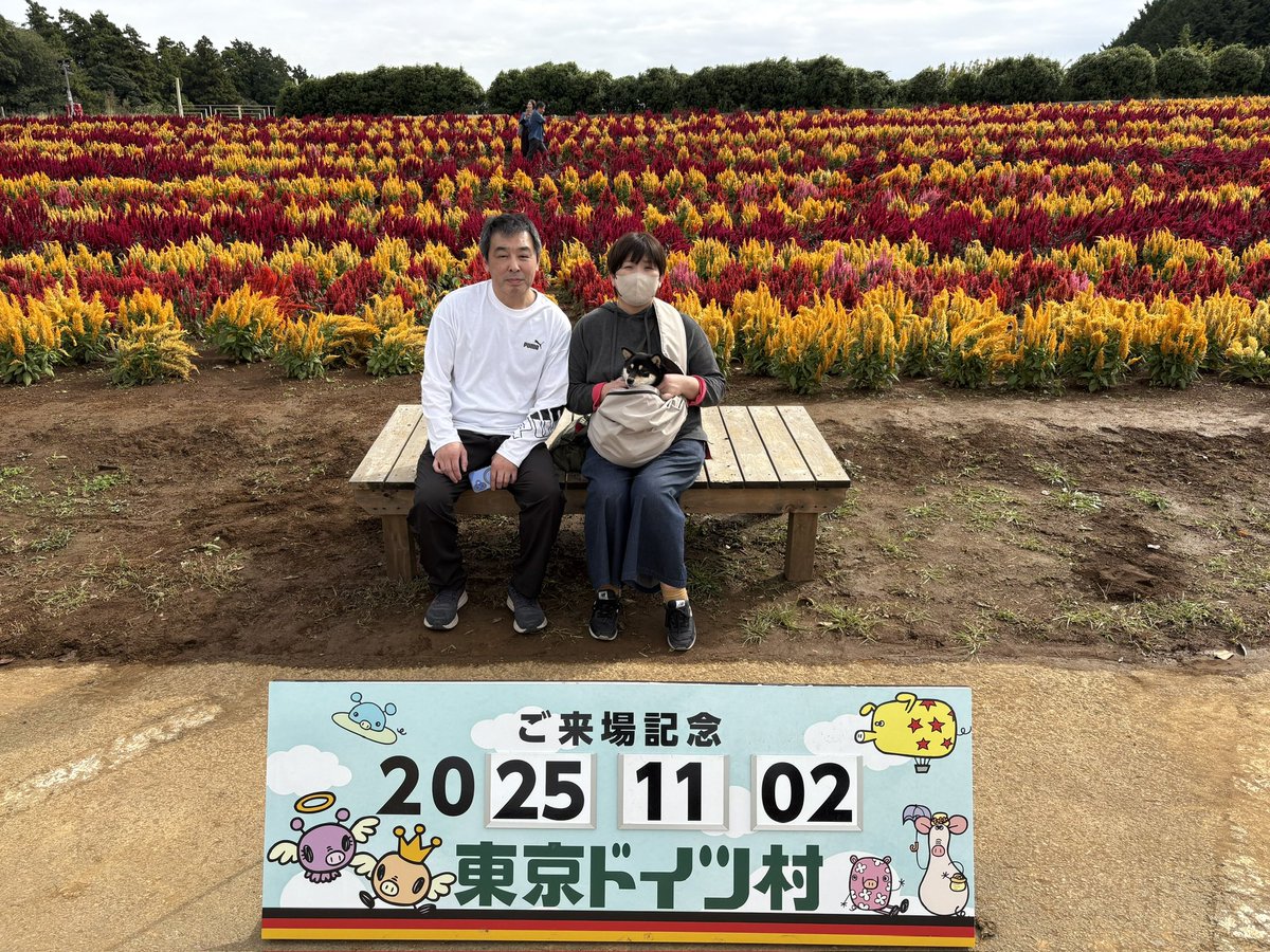 にゃんまる = にゃん五郎🍶 on X