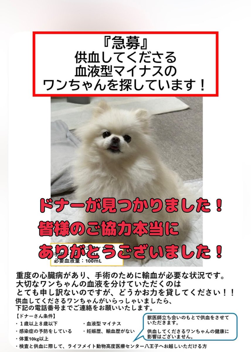 ArapChan's tweet photo. たくさんの拡散
ありがとうございました。
飼い主さんも諦める事なくチラシや色んな病院への問い合わせなど頑張られた結果，血液型マイナスのドナーが見つかりました‼️
あとは無事に手術が成功する事を祈るのみです‼️ https://t.co/seOVWeQOT5